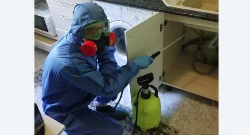 Уничтожение муравьев в квартире. Егорьевск
