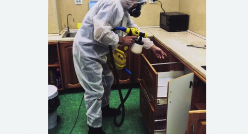 Уничтожение насекомых в квартире. Егорьевск