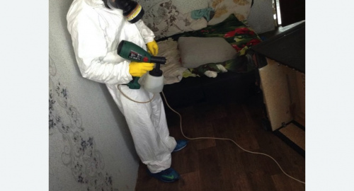 Обработка квартир от насекомых в Егорьевске