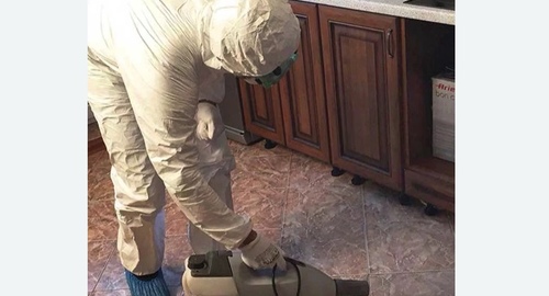 Уничтожение тараканов в квартире. Егорьевск
