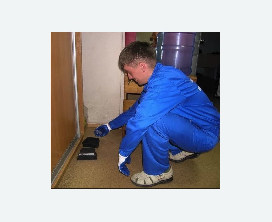 Дератизация крыс Дератизация крыс в Егорьевске