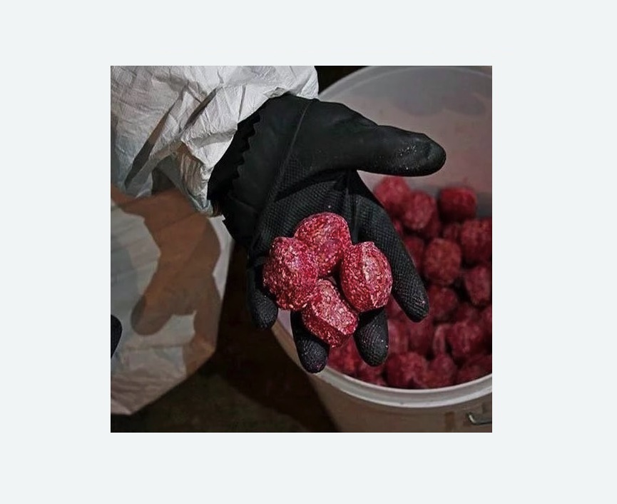 Обработка от крыс Обработка от крыс в Егорьевске