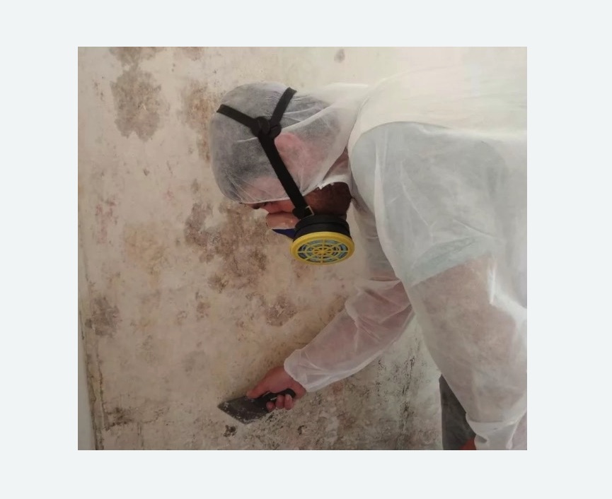 Обработка стен от плесени в Егорьевске