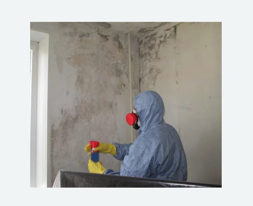 Удаление плесени в квартире в Егорьевске