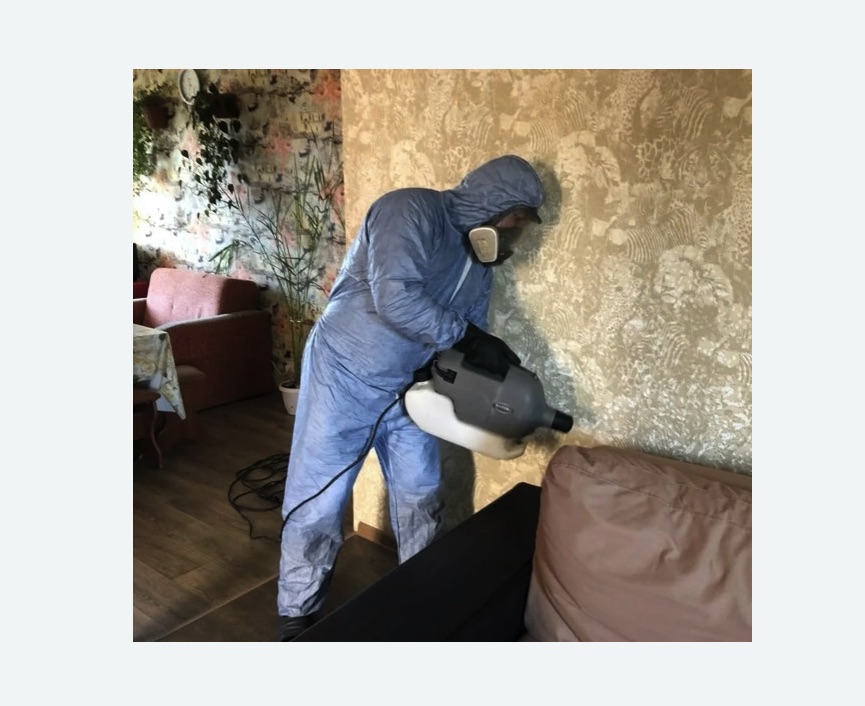 Уничтожение блох в квартире. Егорьевск Уничтожение блох в квартире