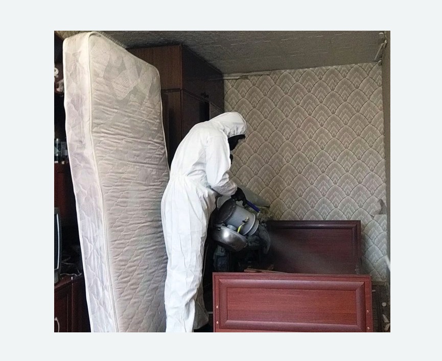 дезинфекция от клопов в Егорьевске