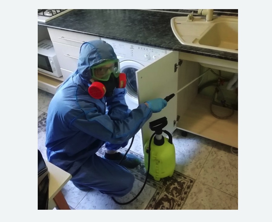 обработка от муравьев в квартире обработка от муравьев в квартире в Егорьевске