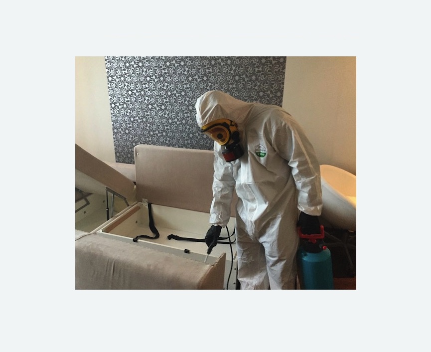уничтожение клопов в квартире в Егорьевске