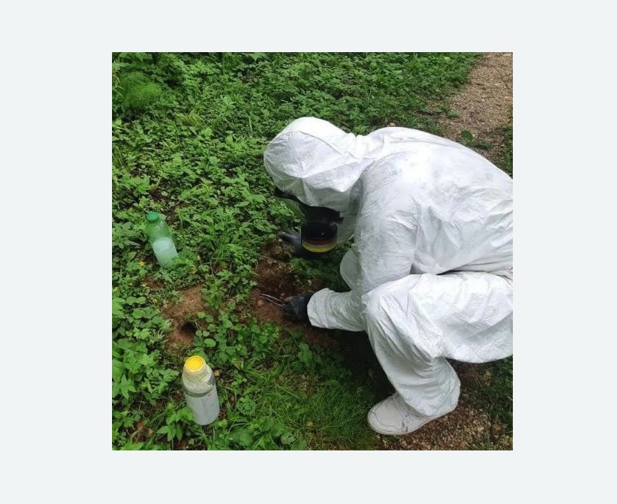 уничтожение кротов на участке в Егорьевске