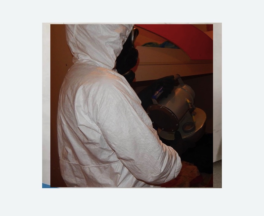 Дезинфекция от муравьев Дезинфекция от муравьев в Егорьевске