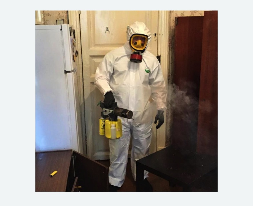 уничтожение муравьев в квартире уничтожение муравьев в квартире в Егорьевске